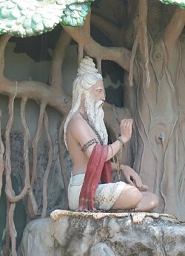 Vyasa Krishna Dvaipayana