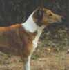 Ronja